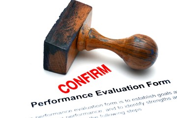 Performance evaluation form