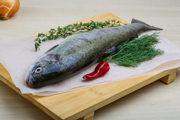 Raw trout