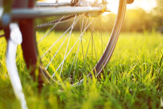 Bike on a green meadow