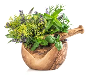 Foto auf Acrylglas Aromatisch Fresh herbs and spices mint, basil, dill, rosemary, sage, lavend