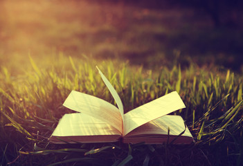 Open book on grass under the sun in vintage colors