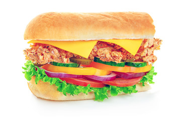 Fresh tasty sandwich