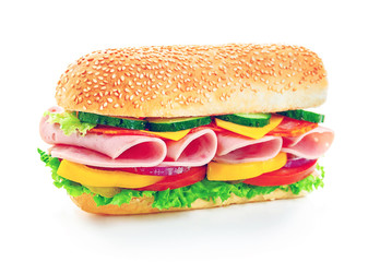 Fresh tasty sandwich