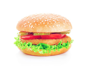 Fresh tasty burger