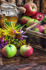harvest of ripe apples and honey to the Church celebration of the apple feast day