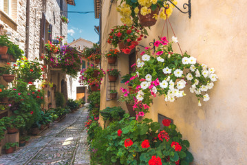 Floral street in central Italy, in the small Umbrian medieval to