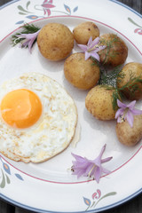 Fried egg with cooked potatoes on a white plate.