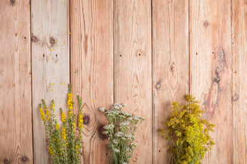 Alternative medicine concept - herbs on wooden background