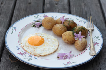 Fried egg with cooked potatoes on a white plate.