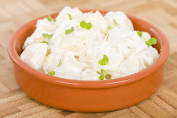 Potato Salad with shallots. Typical BBQ side dish.

