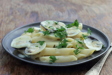 Penne with white clamshells in white sauce.