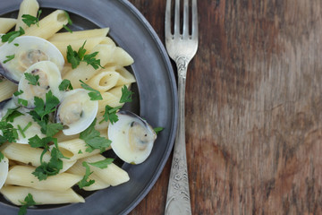 Penne with white clamshells in white sauce.