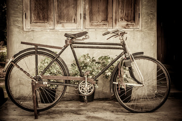 Old bicycle on wooden window house wall in vintage color tone