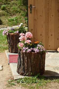 vaso fioriera in legno tronco di legno