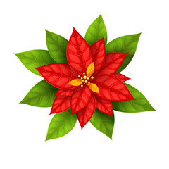 Red Christmas Star flower poinsettia isolated on white