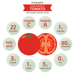 health benefits of tomato info graphic, vegetable vector illustr