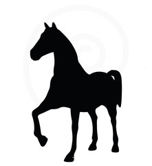 horse silhouette isolated on white