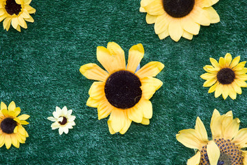 Sonnenblumen-Hintergrund
