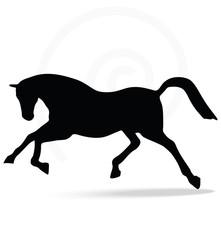 horse silhouette in running pose