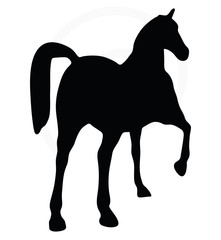silhouette in show horse pose