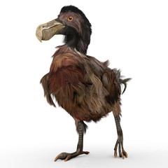 Dodo Bird © auntspray