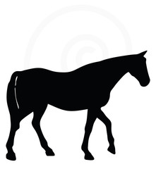horse silhouette in walking head up pose