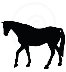 horse silhouette in walking head up pose