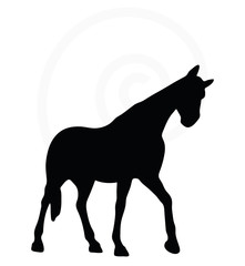 horse silhouette in walking head up pose
