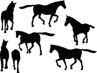 horse silhouette in loping pose