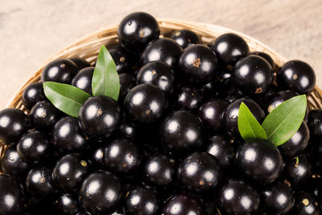 Berry Jaboticaba in bowl on wooden table