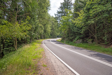 Straße durch den Wald