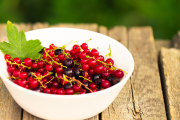 Fresh ripe currant berries bowl on wooden table background