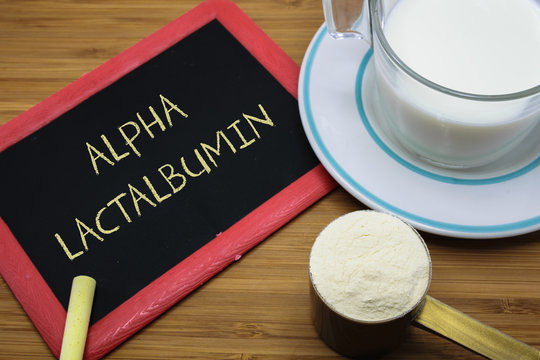 Concept of Alpha-Lactalbumin from milk