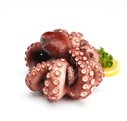 gekochter Pulpo