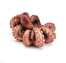 gekochter Pulpo