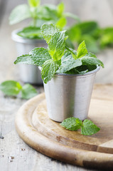 Green fresh mint on the wooden table