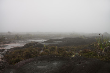 Totally lost in fog another planet looking like rocky terrain of mount Roraima