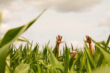 Man in a field with his arms raised
