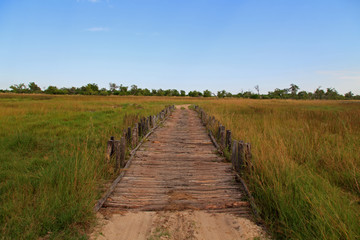 Obraz premium Brücke in Botswana
