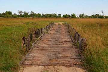 Fototapeta na wymiar Brücke in Botswana