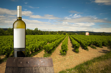Wine composition with background of vineyard