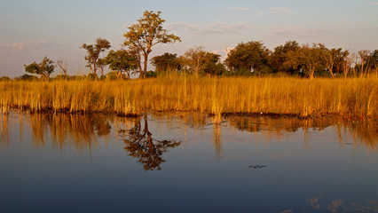 Botswana