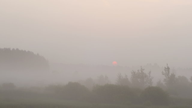 4K time lapse shot of the surrounding forest in the morning moving fog and with the sunrise in the horizon
