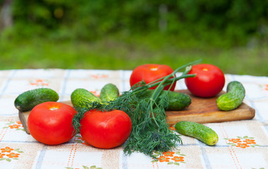  cucumbers and tomatoes