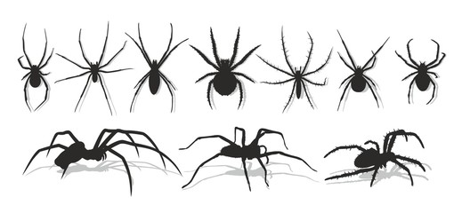 Set of silhouettes of spiders. - obrazy, fototapety, plakaty