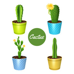 Cactus In Pots Set