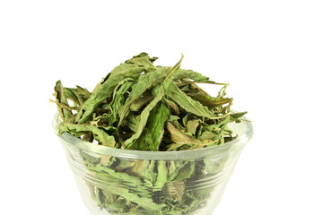  dried Stevia rebaudiana leaves on white background