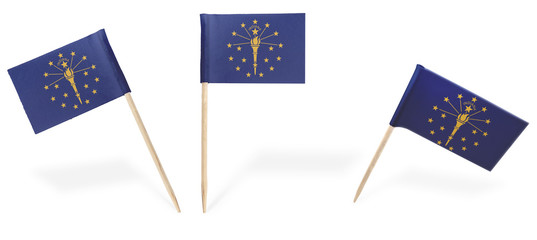 Various cocktail flags of Indiana isolated on white.(series)
