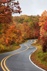 Naklejka premium Winding Road in the Fall