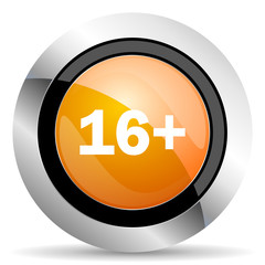 adults orange icon